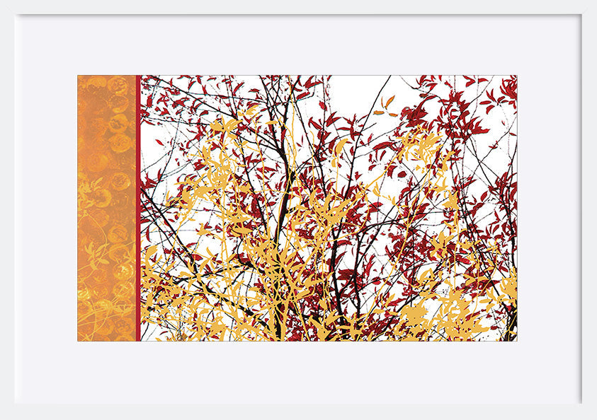 paper_frame