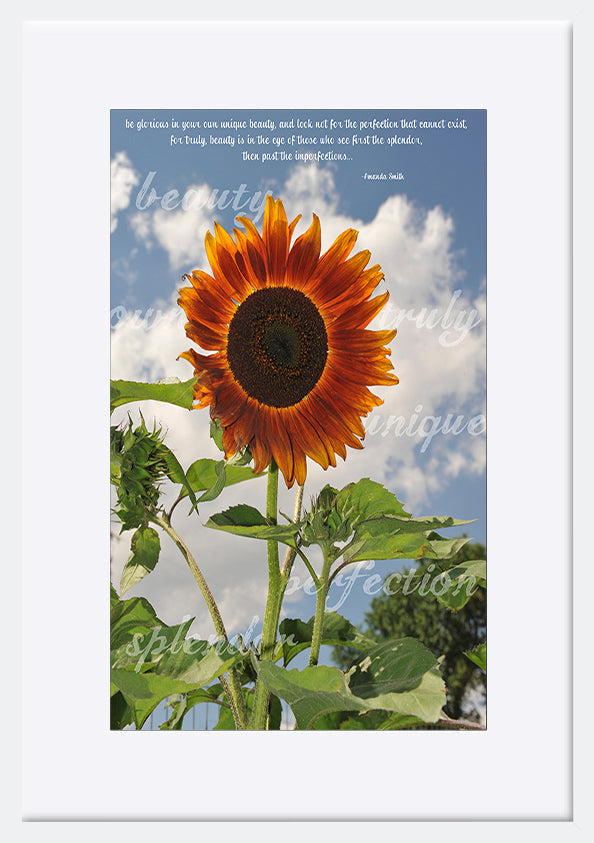 paper_frame