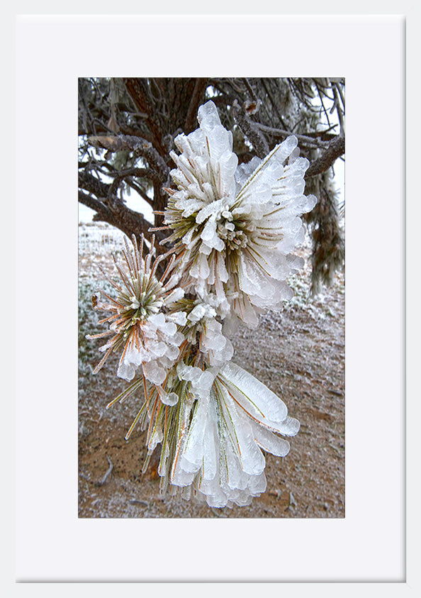 paper_frame