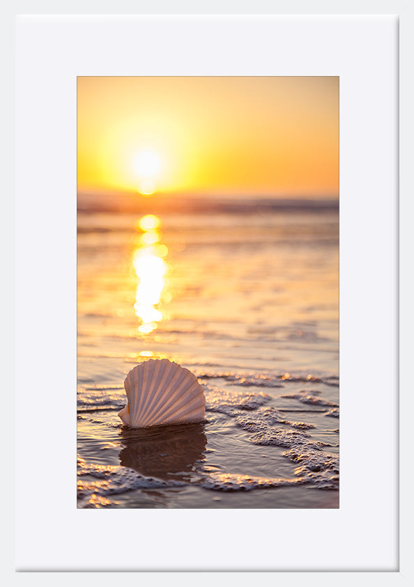 paper_frame