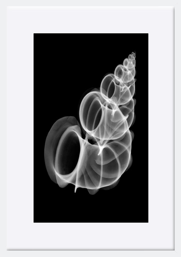 paper_frame