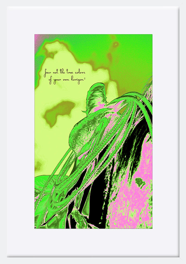 paper_frame