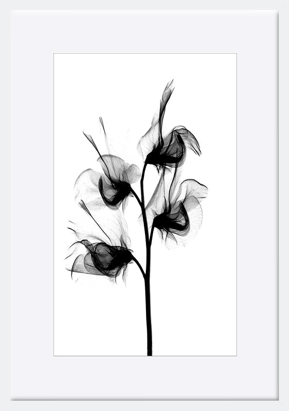 paper_frame