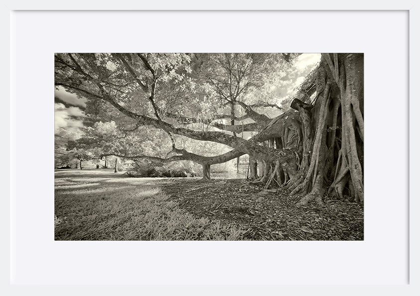 paper_frame