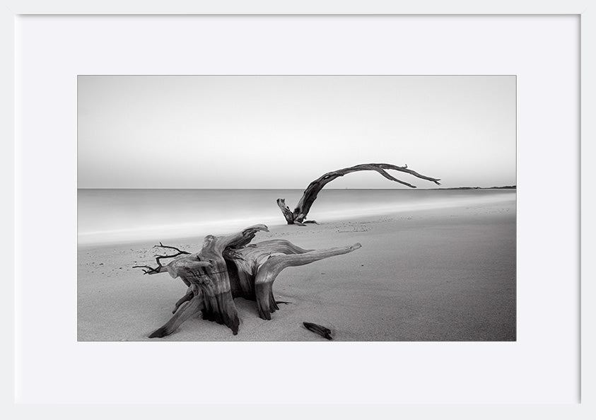 paper_frame