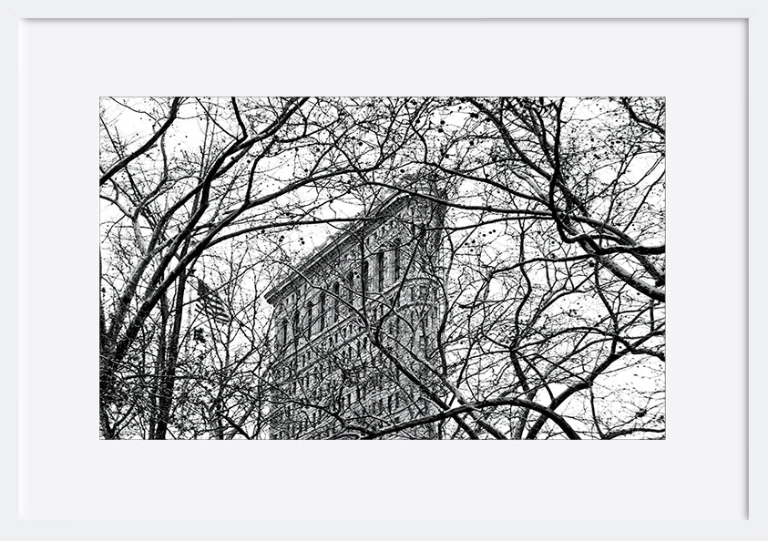 paper_frame