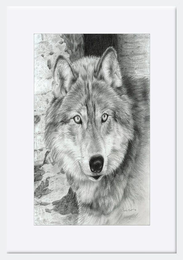 paper_frame