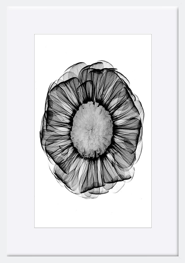 paper_frame