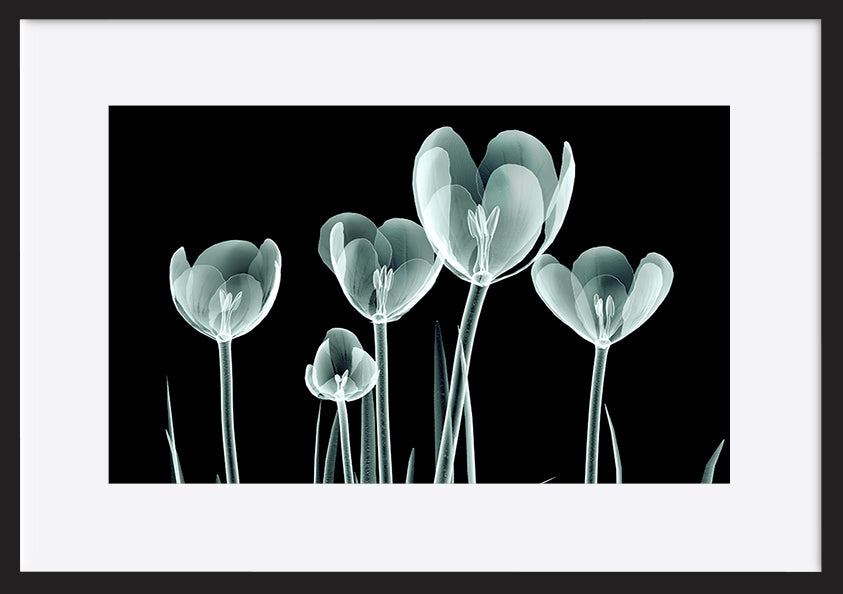 paper_frame