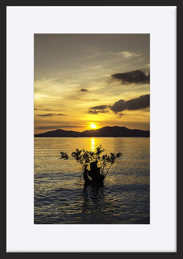 paper_frame