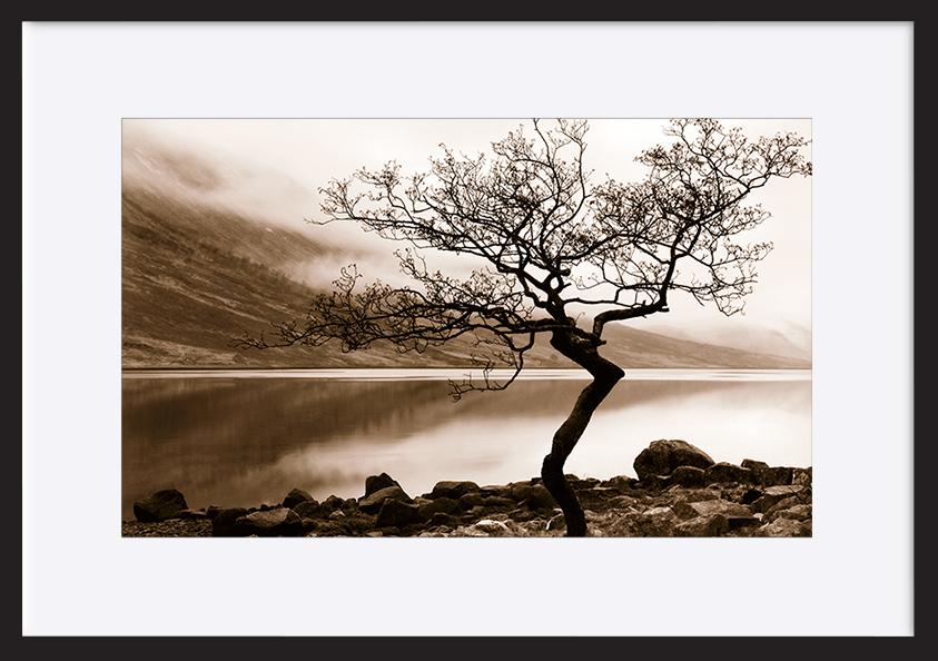 paper_frame