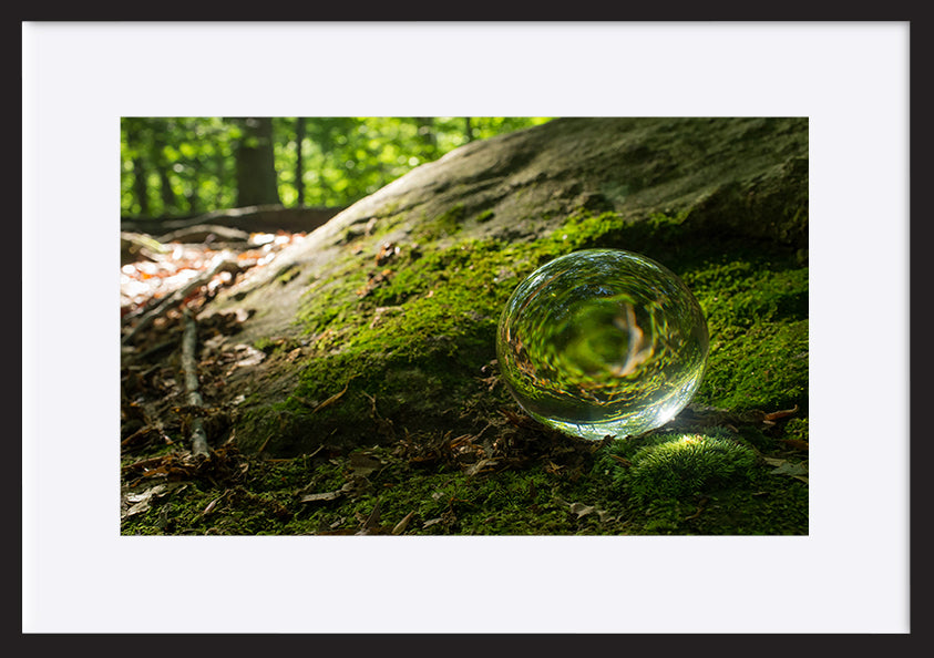 paper_frame