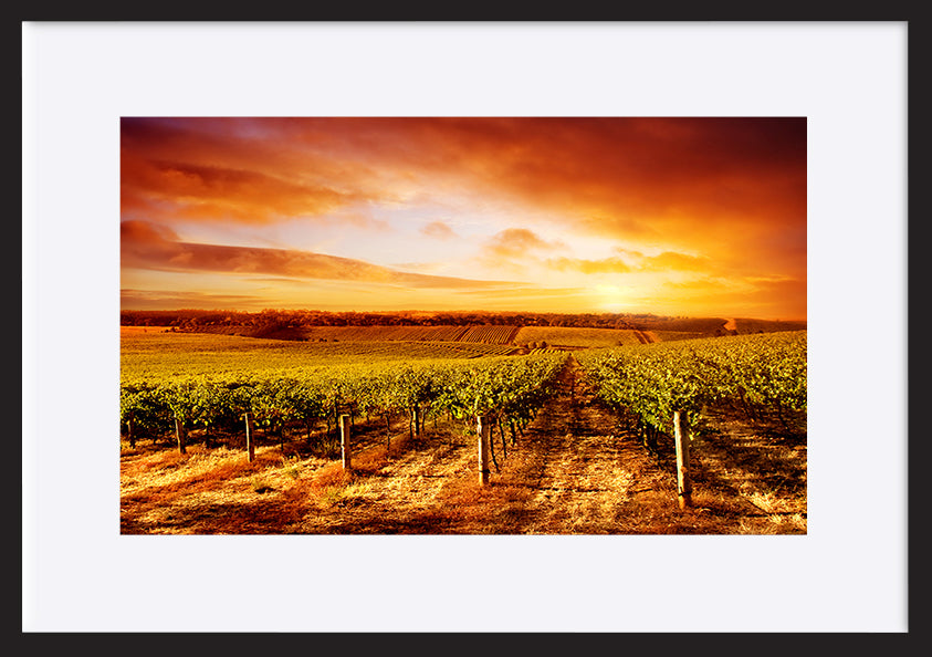 paper_frame