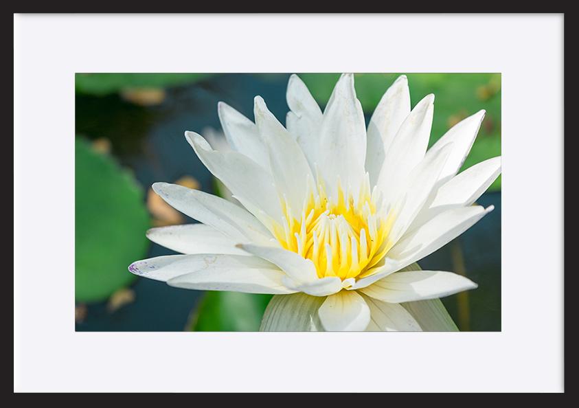paper_frame