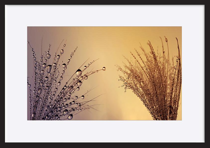 paper_frame