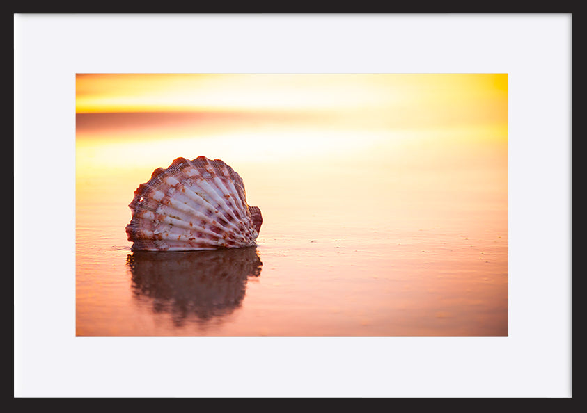 paper_frame