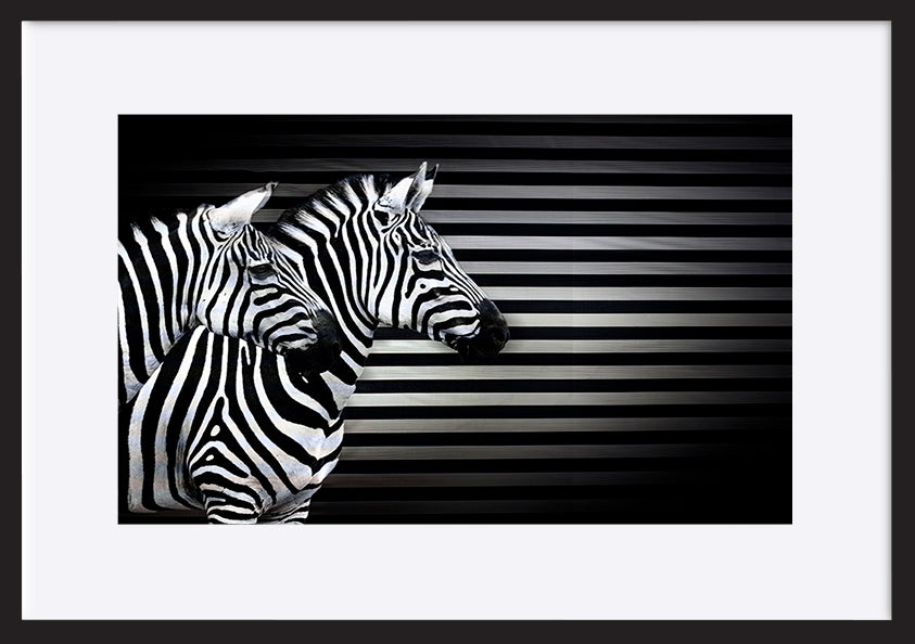 paper_frame