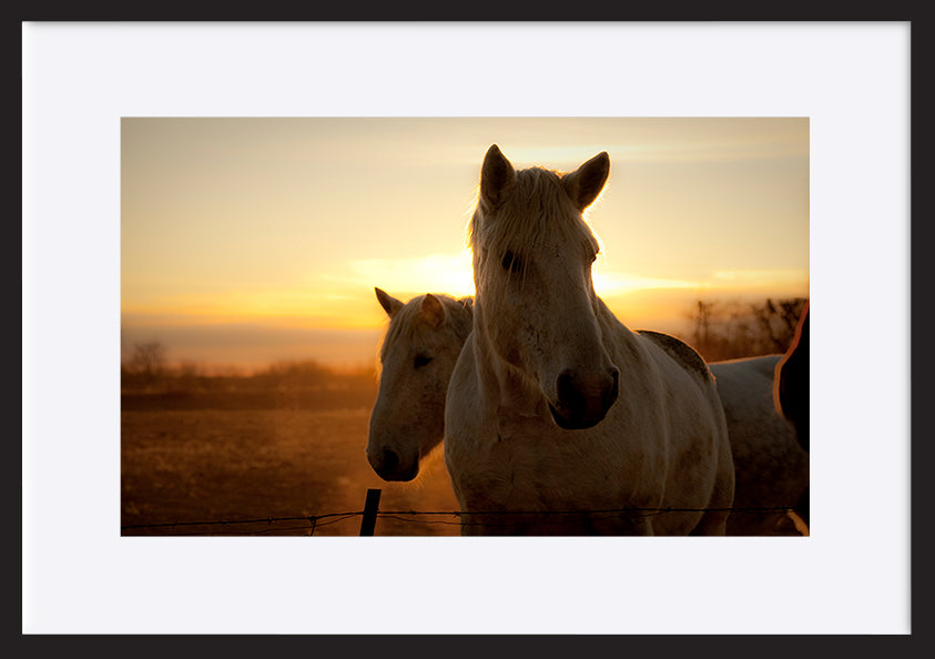 paper_frame