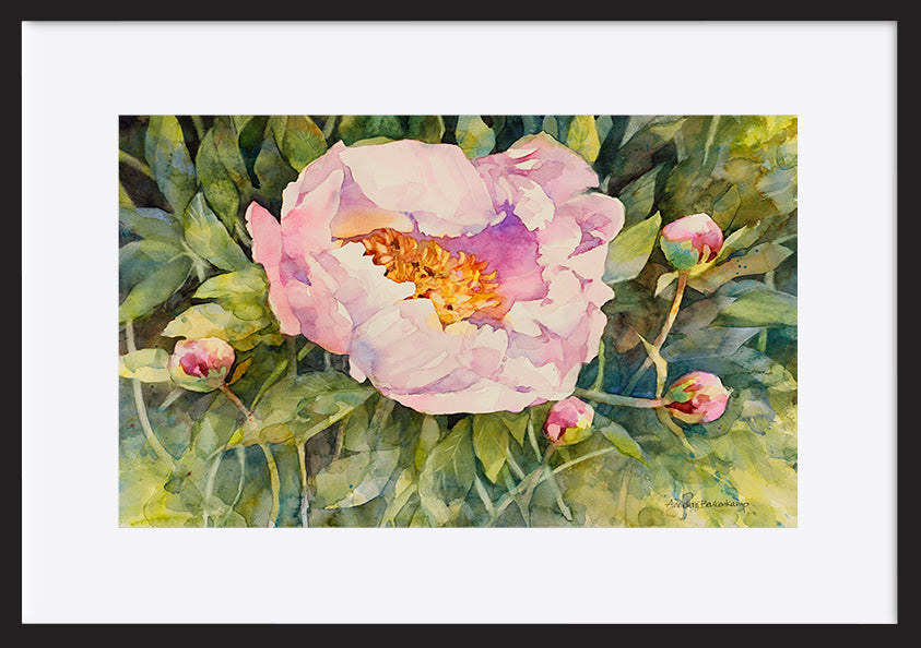 paper_frame