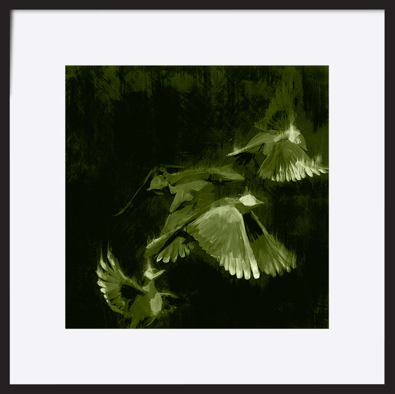 paper_frame
