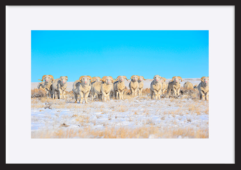 paper_frame