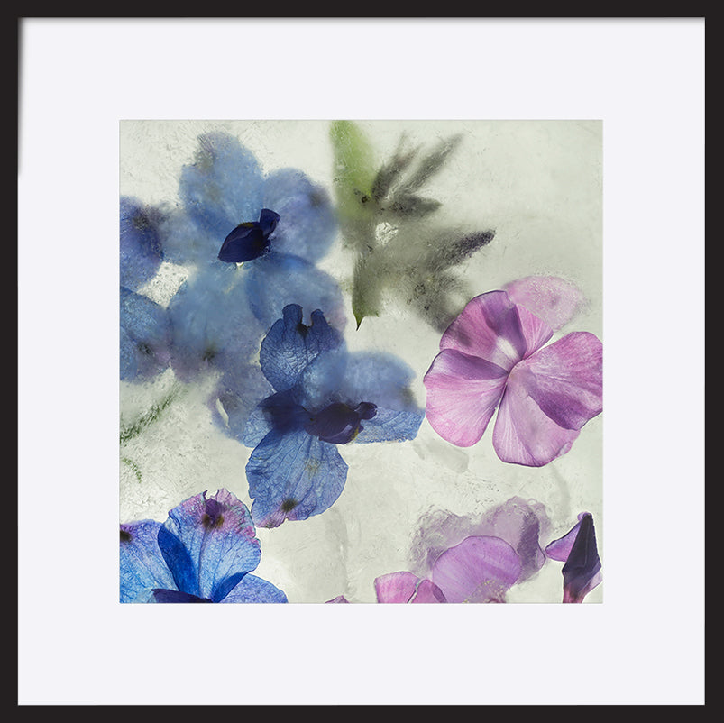 paper_frame