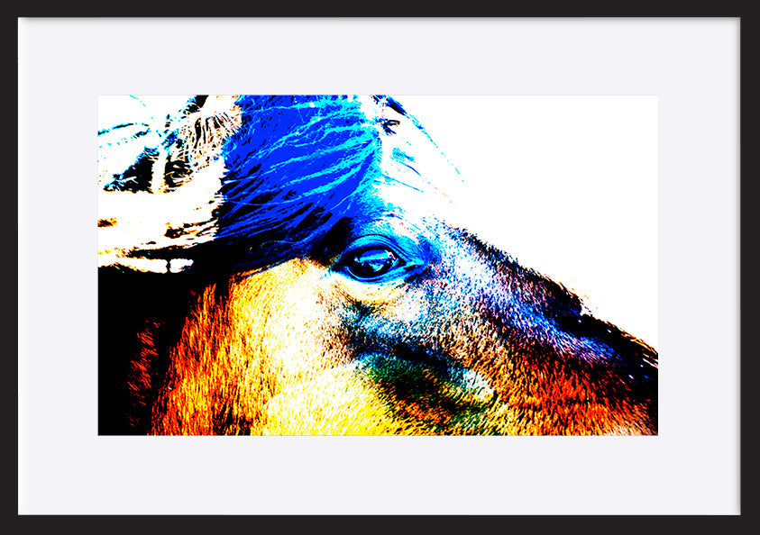 paper_frame