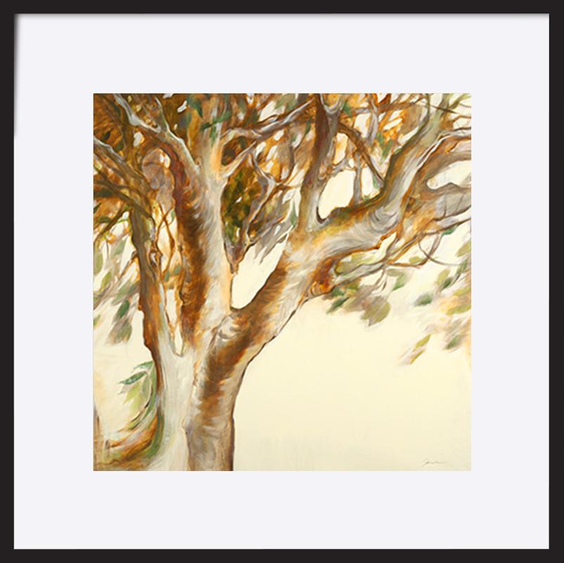 paper_frame