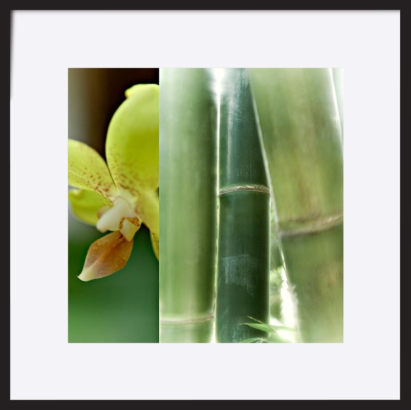 paper_frame