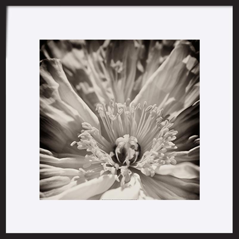 paper_frame