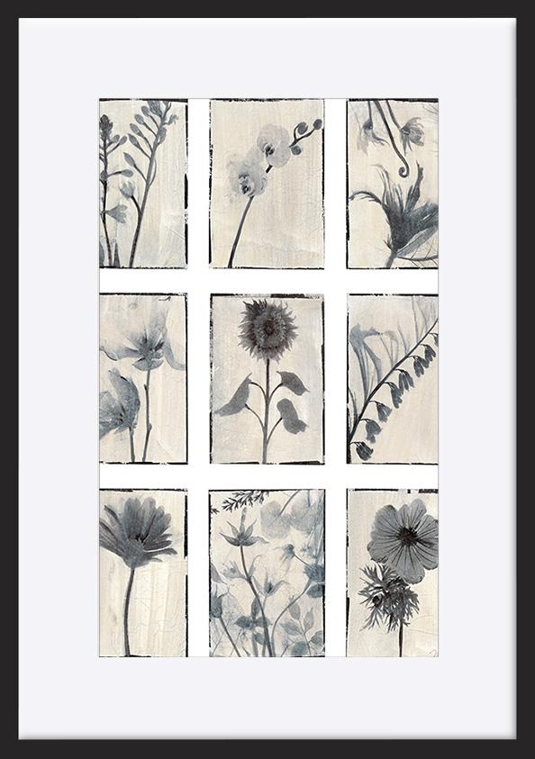paper_frame