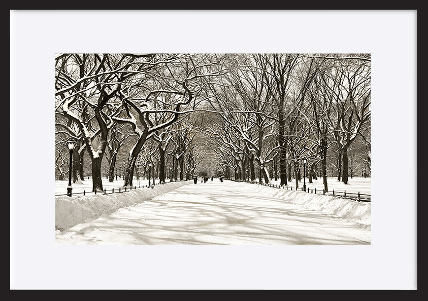 paper_frame
