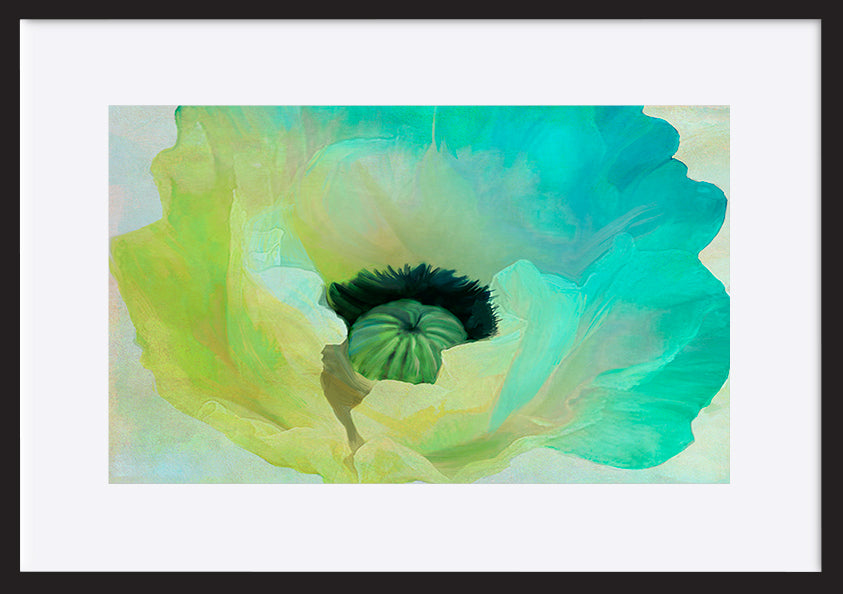 paper_frame