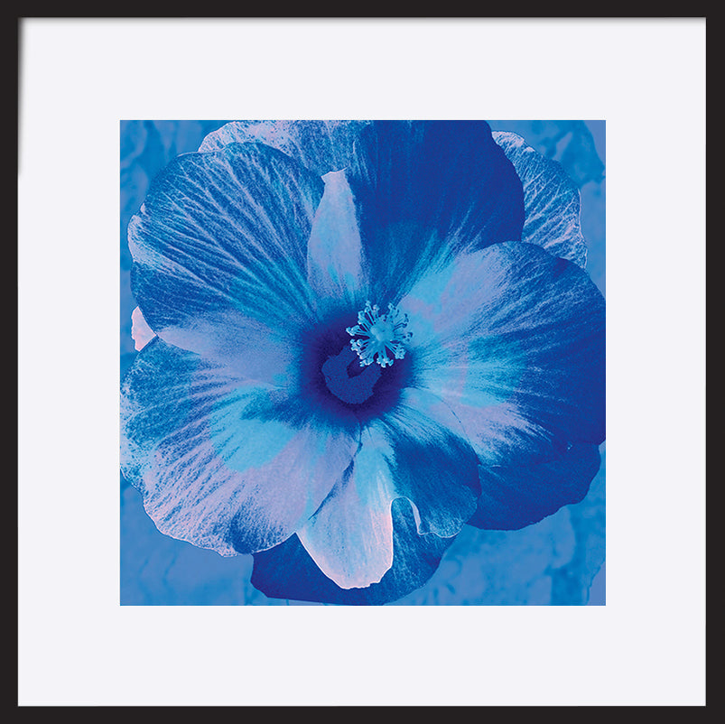paper_frame