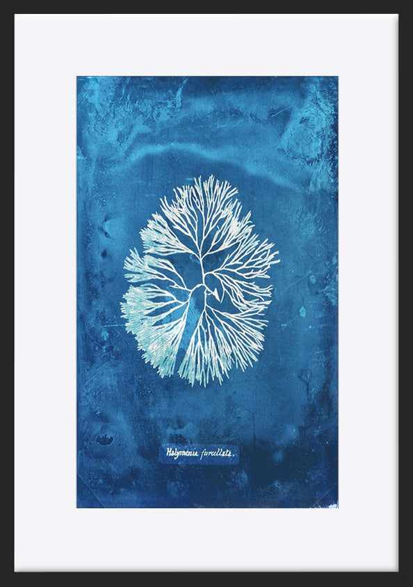 paper_frame