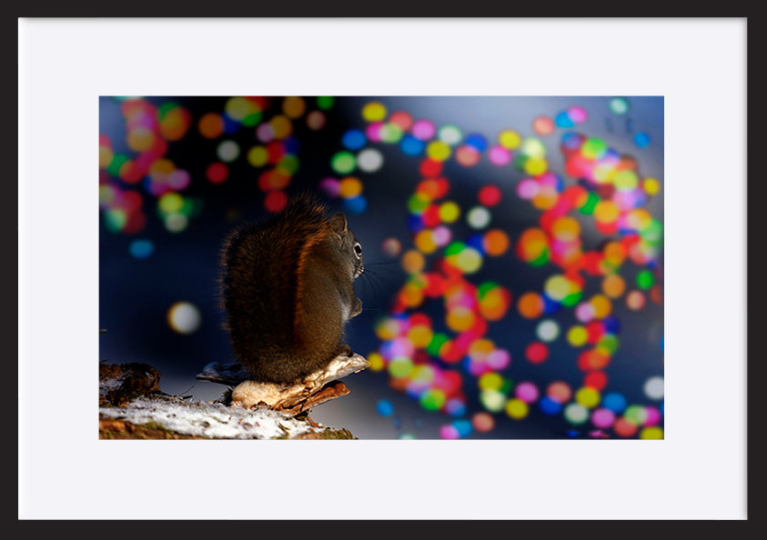 paper_frame