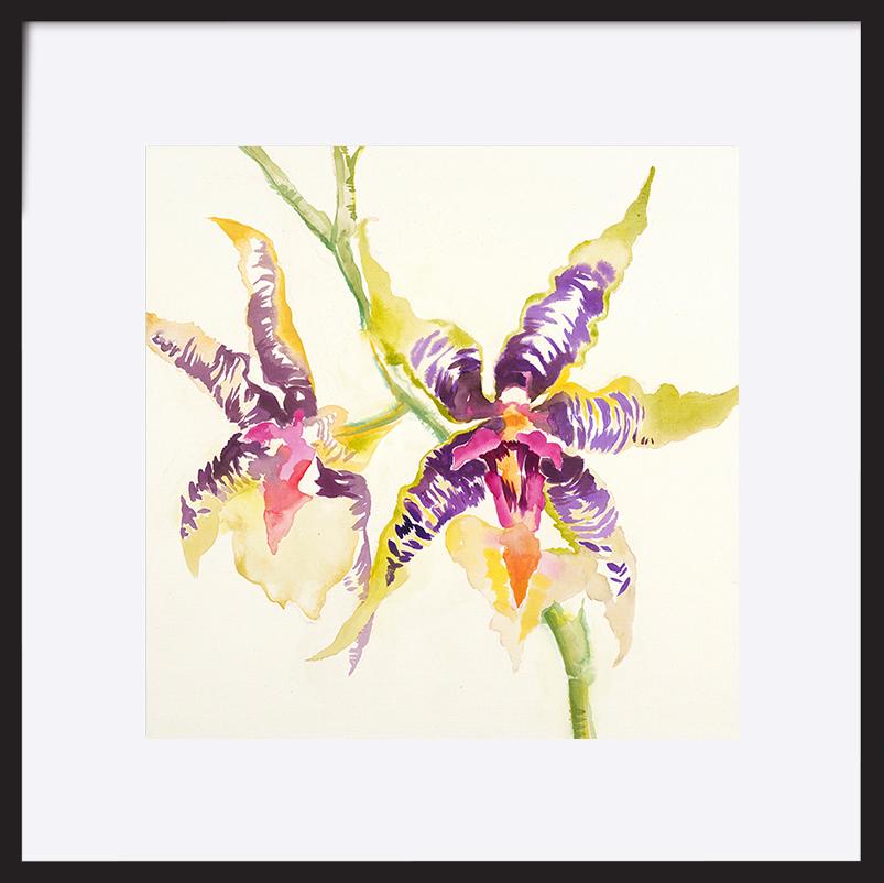 paper_frame