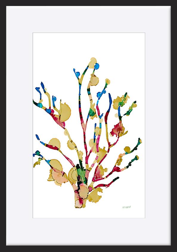 paper_frame