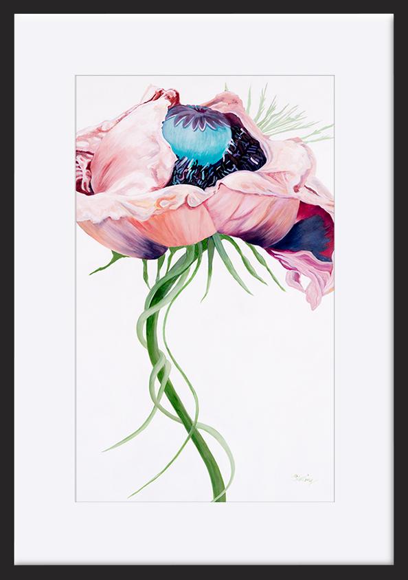 paper_frame