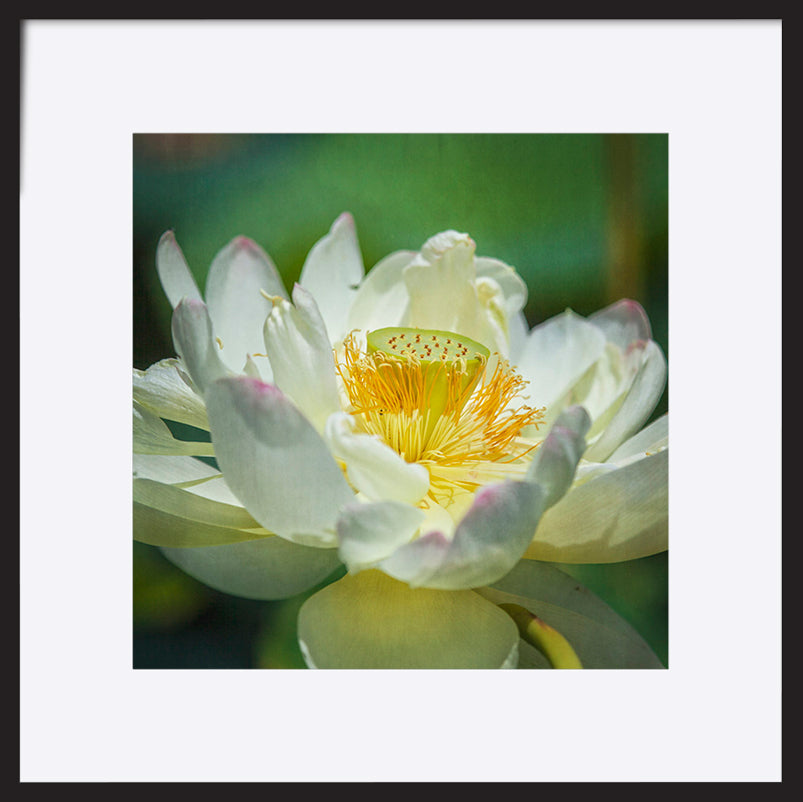 paper_frame