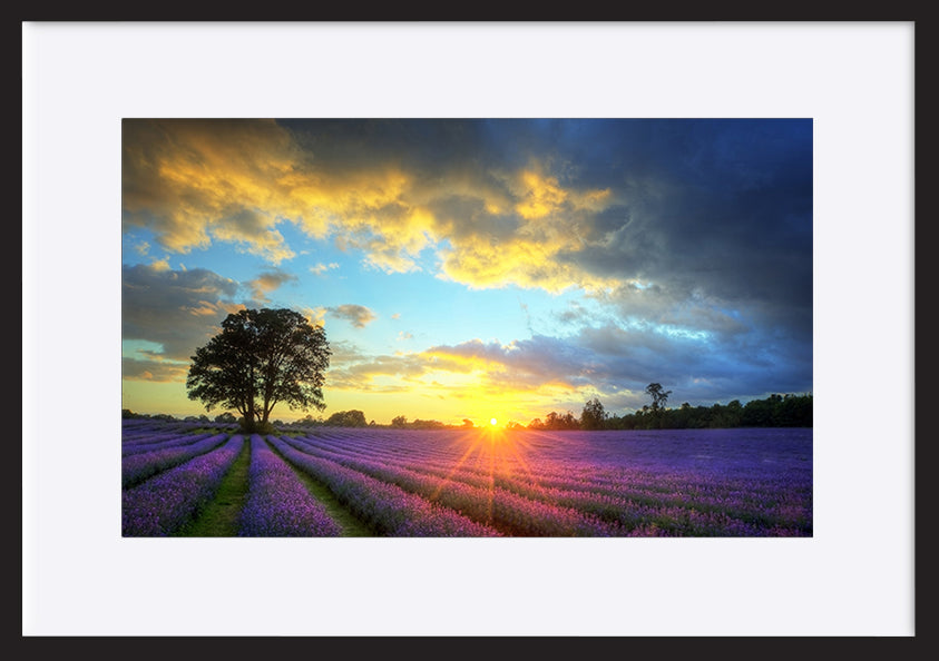 paper_frame