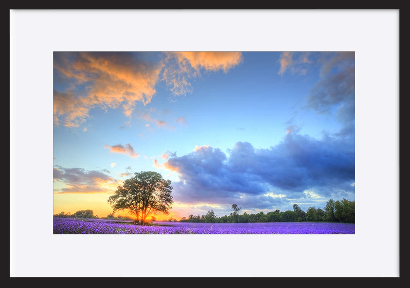 paper_frame