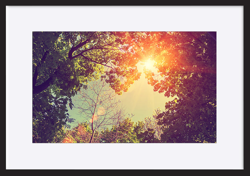 paper_frame