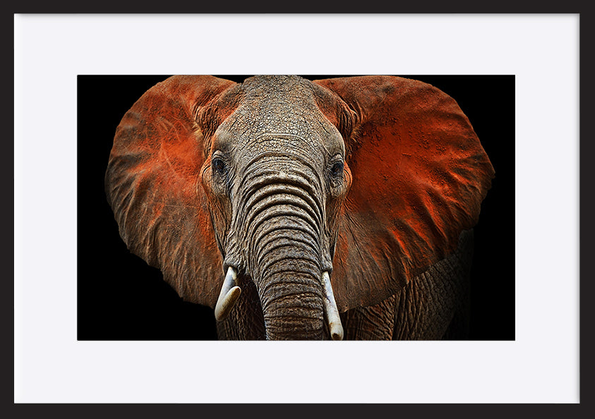 paper_frame