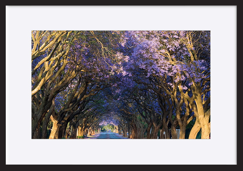 paper_frame