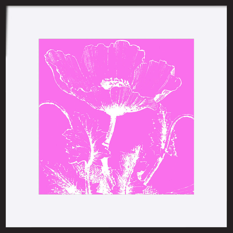 paper_frame