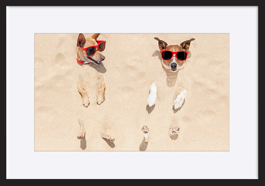 paper_frame
