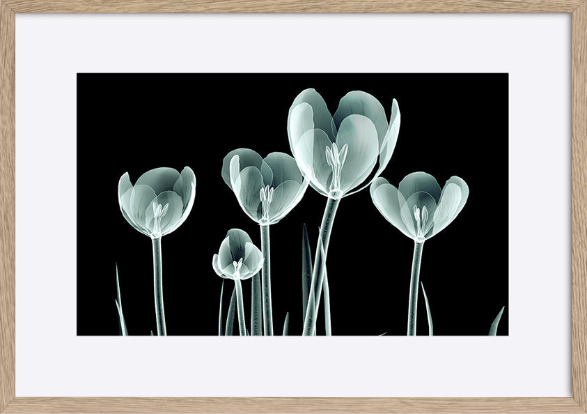 paper_frame