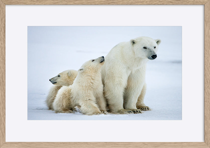 paper_frame