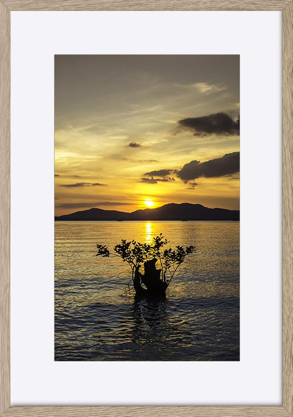 paper_frame